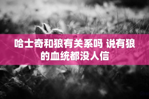 哈士奇和狼有關系嗎 說有狼的血統都沒人信