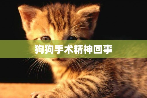 狗狗手術精神回事