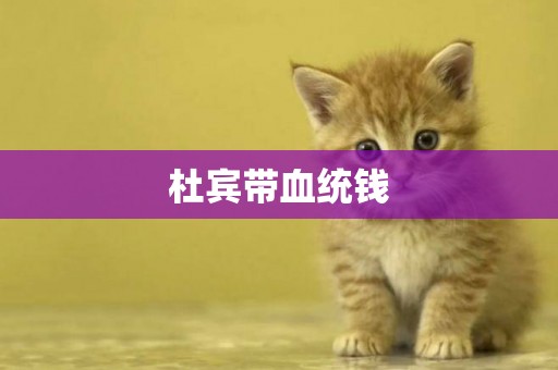 杜賓帶血統錢