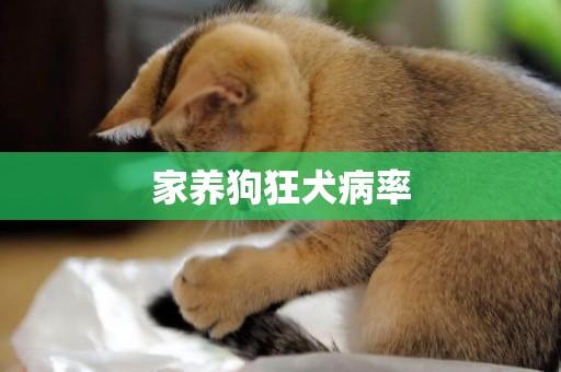 家養狗狂犬病率