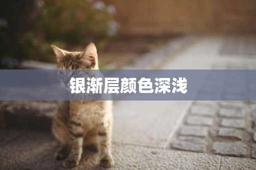 銀漸層顏色深淺