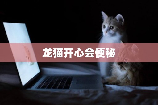 龍貓開心會便秘