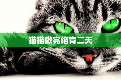 貓貓做完絕育二天