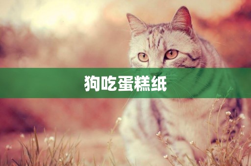 狗吃蛋糕紙