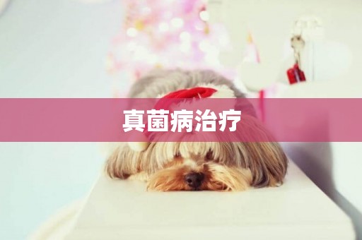 真菌病治療