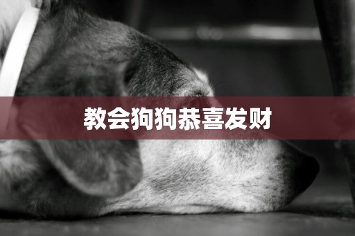 教會狗狗恭喜發財