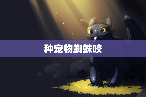 種寵物蜘蛛咬