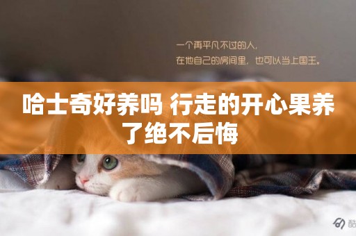 哈士奇好養嗎 行走的開心果養了絕不后悔