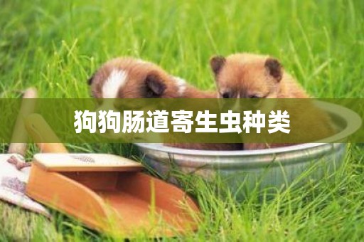 狗狗腸道寄生蟲種類