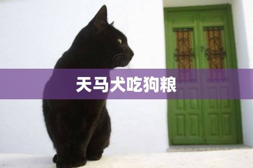 天馬犬吃狗糧