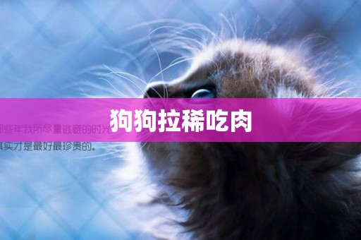 狗狗拉稀吃肉