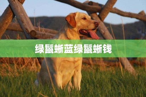 綠鬣蜥藍綠鬣蜥錢