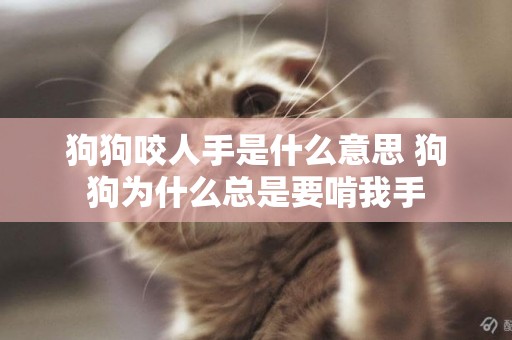 狗狗咬人手是什么意思 狗狗為什么總是要啃我手