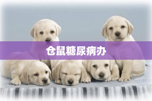 倉鼠糖尿病辦
