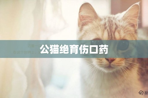 公貓絕育傷口藥