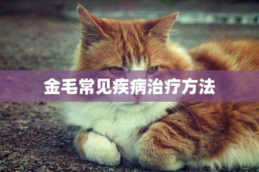 金毛常見疾病治療方法