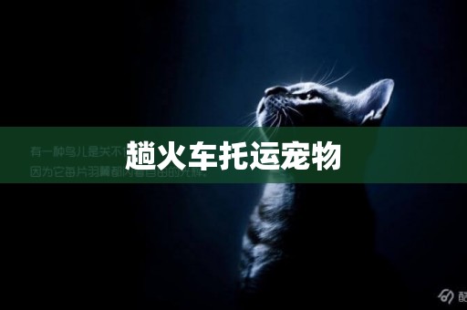 趟火車托運寵物