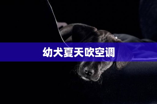 幼犬夏天吹空調