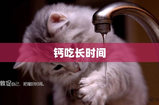 鈣吃長時間