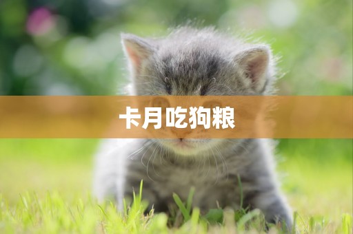 卡月吃狗糧