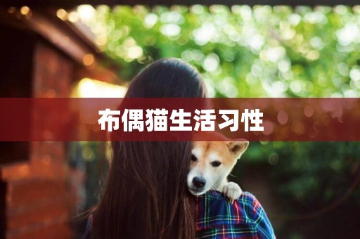 布偶貓生活習性