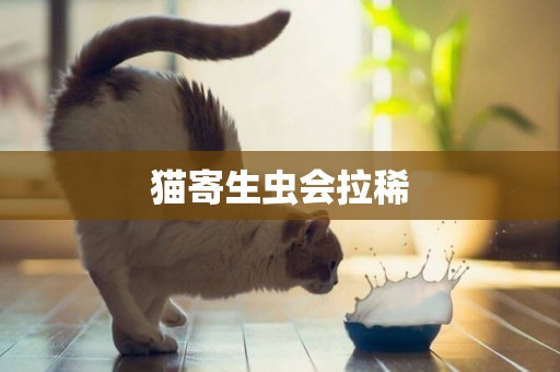 貓寄生蟲會拉稀