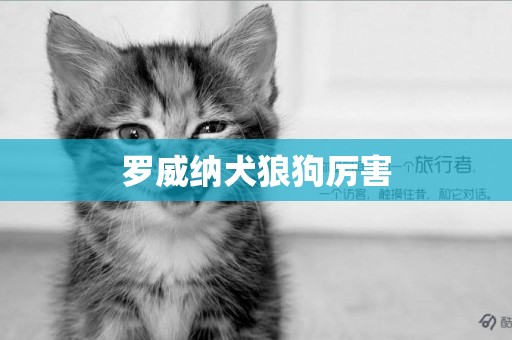 羅威納犬狼狗厲害