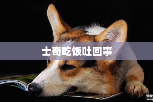 士奇吃飯吐回事