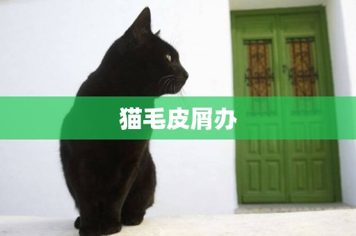 貓毛皮屑辦
