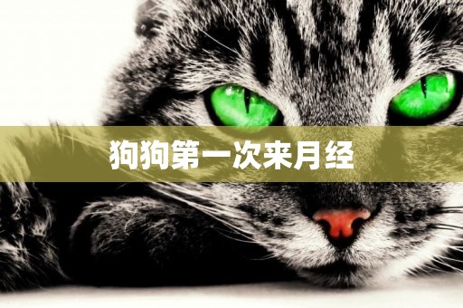 狗狗第一次來月經