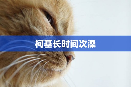 柯基長時間次澡