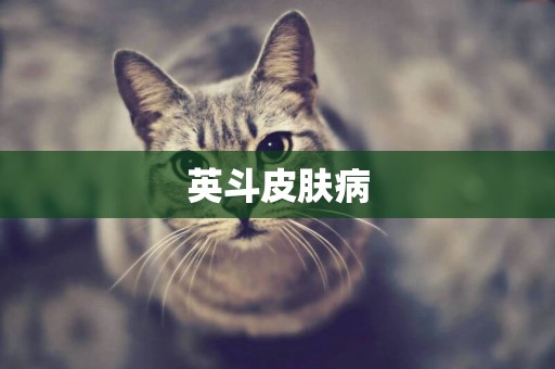 英斗皮膚病