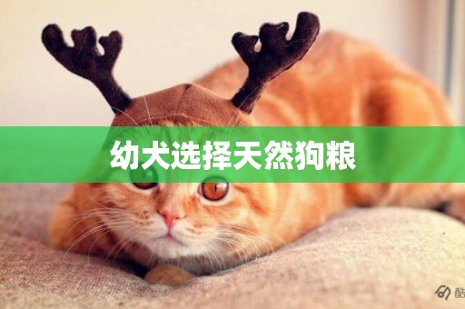 幼犬選擇天然狗糧
