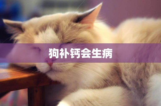 狗補鈣會生病