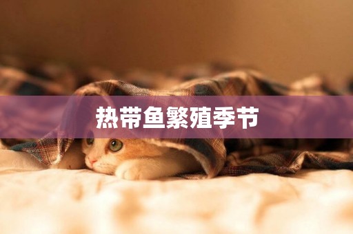 熱帶魚繁殖季節