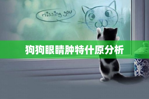 狗狗眼睛腫特什原分析