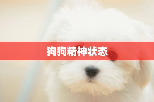 狗狗精神狀態