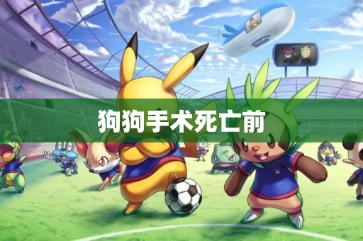 狗狗手術死亡前