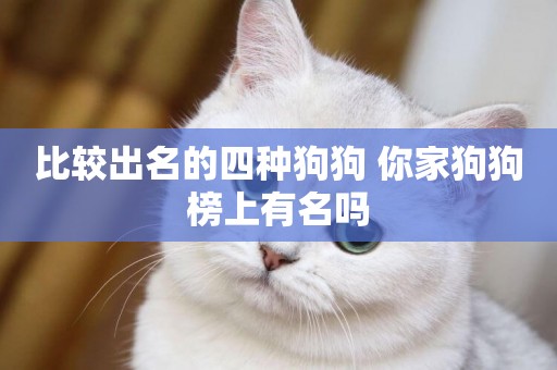 比較出名的四種狗狗 你家狗狗榜上有名嗎