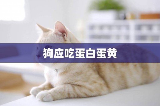 狗應吃蛋白蛋黃