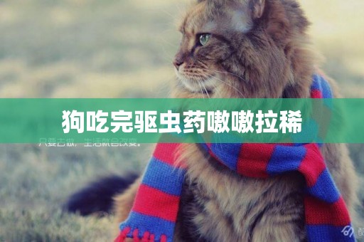 狗吃完驅蟲藥嗷嗷拉稀