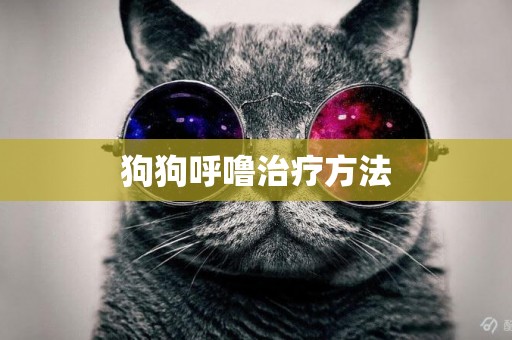 狗狗呼嚕治療方法