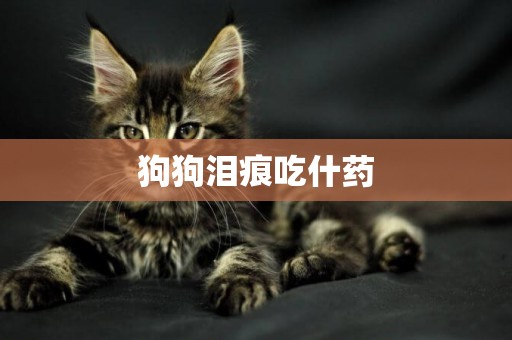 狗狗淚痕吃什藥