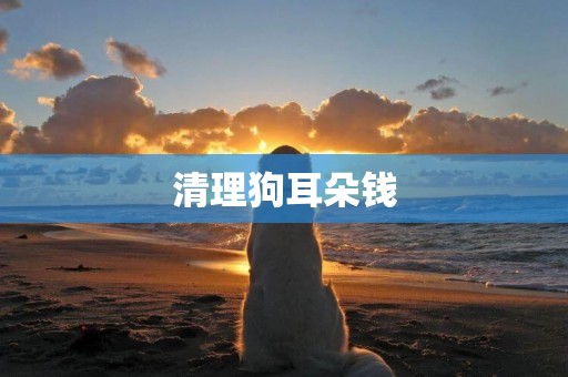清理狗耳朵錢