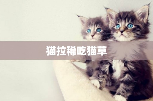 貓拉稀吃貓草