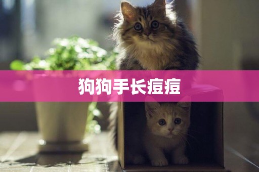 狗狗手長痘痘