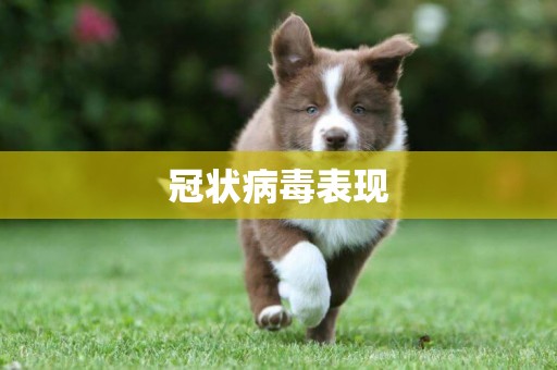 冠狀病毒表現