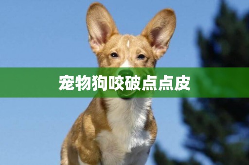 寵物狗咬破點點皮
