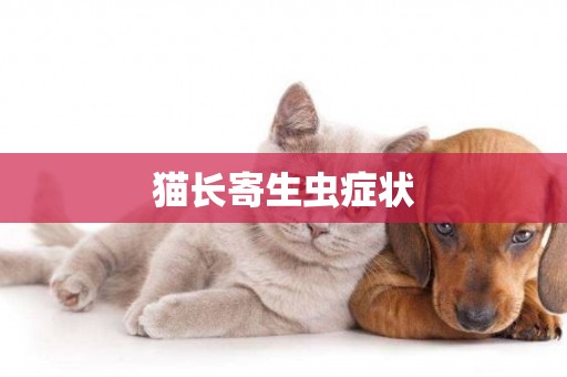 貓長寄生蟲癥狀