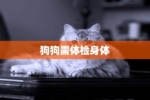 狗狗需體檢身體